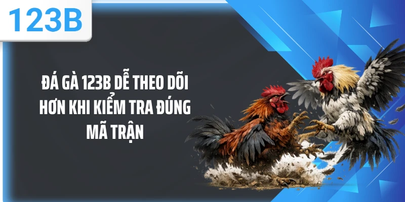 Đá gà 123B dễ theo dõi hơn khi kiểm tra đúng mã trận